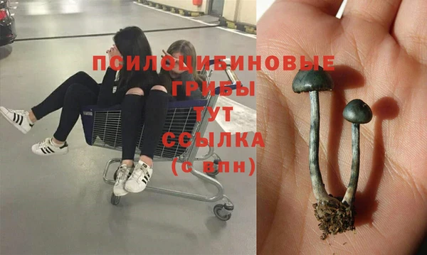 экстази Волосово