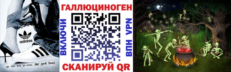 Купить где  Озёры  Псилоцибиновые грибы Psilocybine cubensis 
